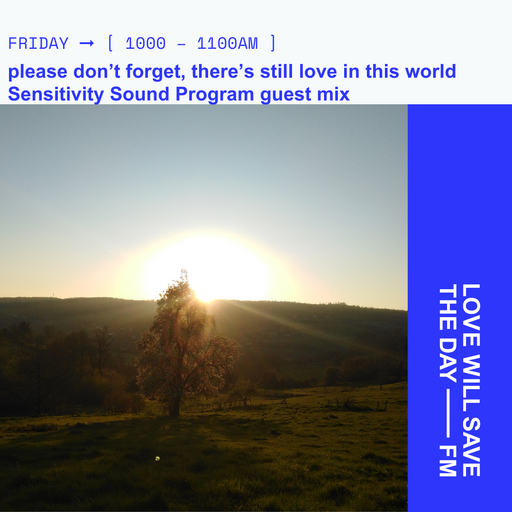 2025-05-09 The Folk Implosion | LWSTD-FM