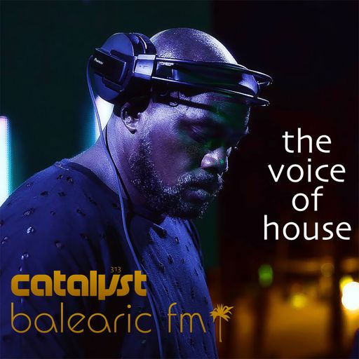 the voice of house (catalyst, 314)