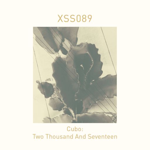 XSS089 | Cubo | Two Thousand And Seventeen