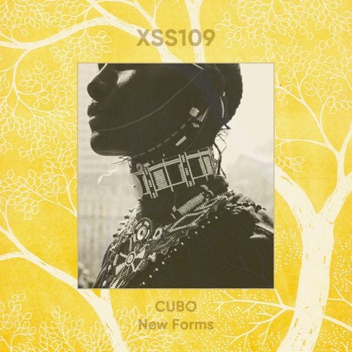 XSS109 | Cubo | New Forms
