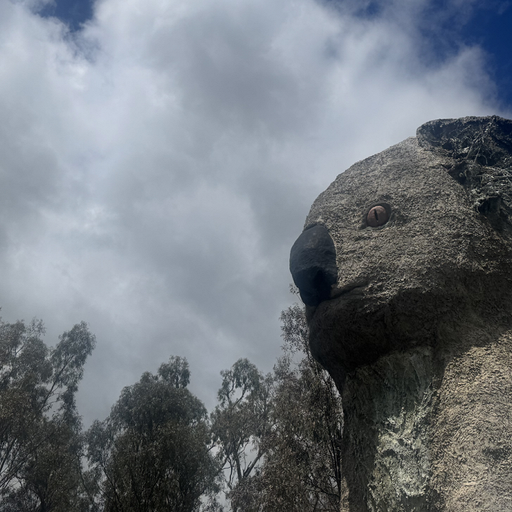 Bridget Small - 26th November 2025