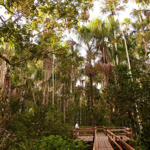 Jack DJ Mystery - Prototype Early Jungle 1992-93 Mix - 16.01.2021