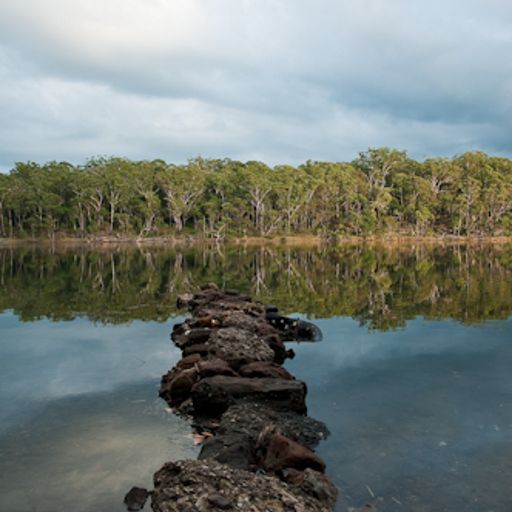 The First Days of Spring