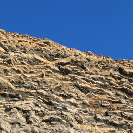 Ellie Clegg - 10/01/26 [Voices Radio]