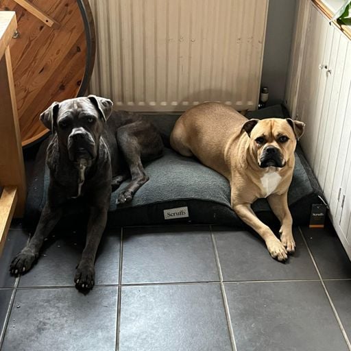 1-LTN-Friday 6 hur rescue mission-15-08-25