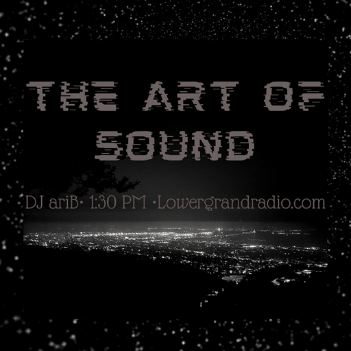 The Art of Sound - DJ ariB 11.21