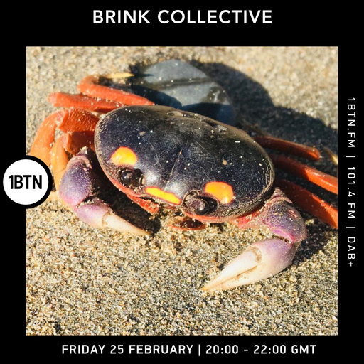 The Brink Collective - 25.02.2022