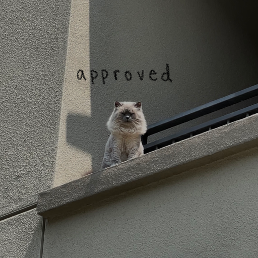 Approved w/ Jayden Klight - 25.09.21
