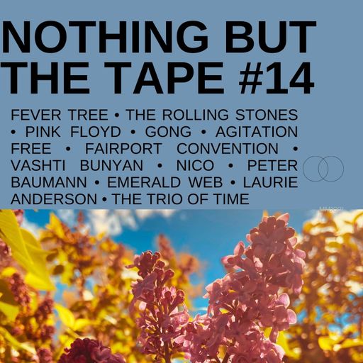 NOTHING BUT THE TAPE #14