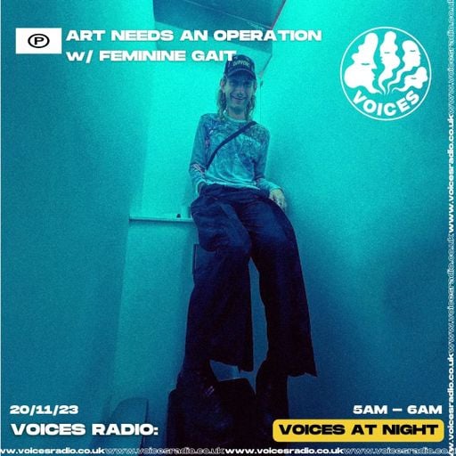 Art Needs an Operation w/ Feminine Gait - 20/11/23 - Voices Radio
