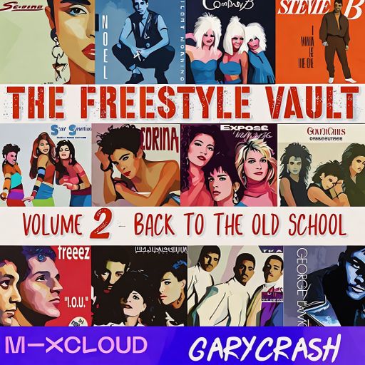 The Freestyle Vault 2 - Golden Era Old School
