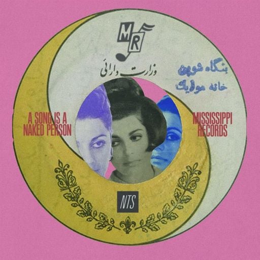 Mississippi Records - 28th April 2025