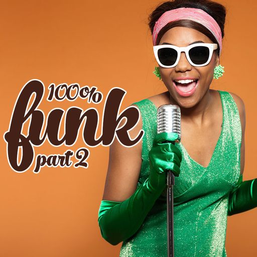 100% Funk Part 2 (DJ Stikmand)