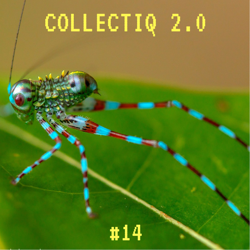 Collectiq 2.0 #14: Holy Ghost