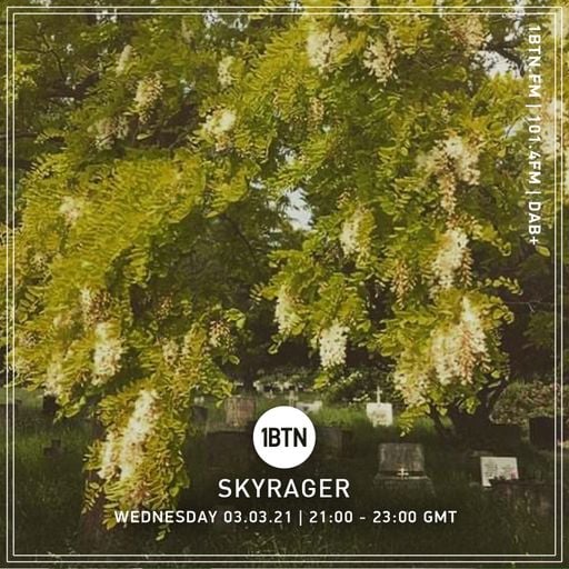 Skyrager - 03.03.2021