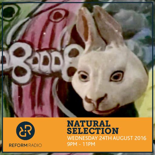 Natural Selection 24th August 2016