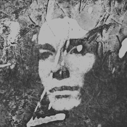 Active Live: A.U.R.A. 29-03-2019