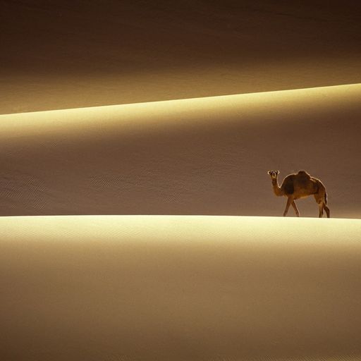 Far Out East (ElektrikEthnicAmbientFusion)