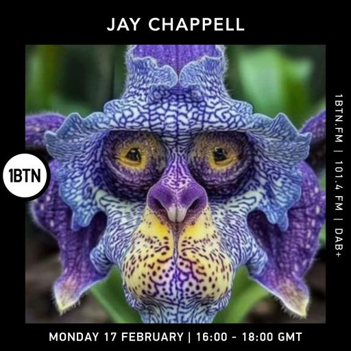 Jay Chappell - 17.02.25