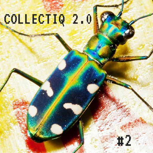 Collectiq 2.0 #2: Forever In My Life