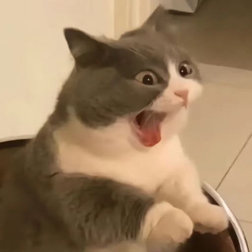 DJ'YE【Bryan Private Mix V6 VVIP】《Passenger - Let Her Go X Avicii - Wake Me Up X 大籽、Lil E - 放空》Mix