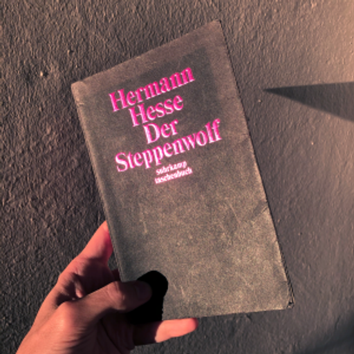 Music for Books: Mehmet Aslan - Steppenwolf // 27-12-20