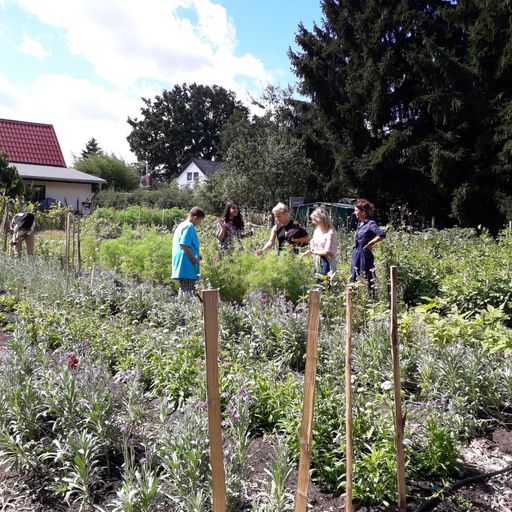 Stadtgeschehen #19 Der Marsano Garten in Rahnsdorf 11.09.2020