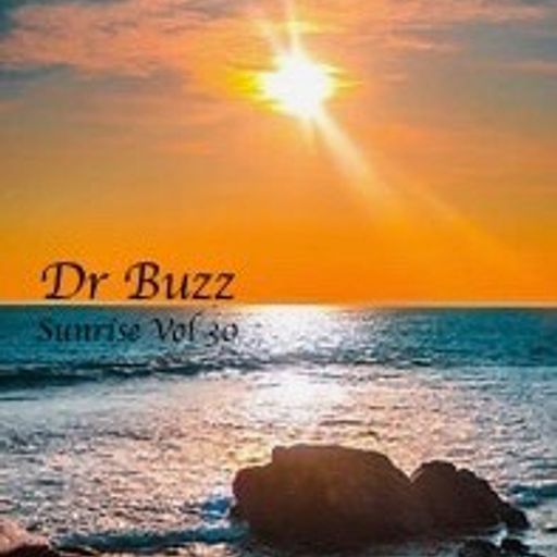 Dr Buzz Sunrise.vol30