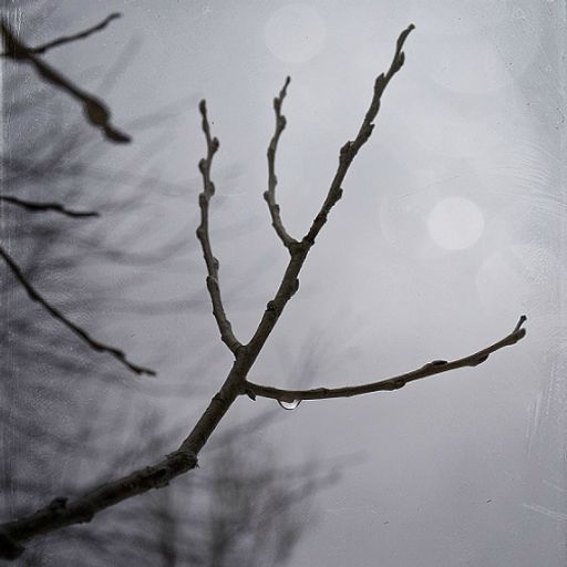 PvC - Tristesse D’Automne