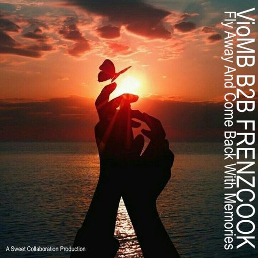 Fly Away And Come Back With Memories VioMB B2B FrenzCook