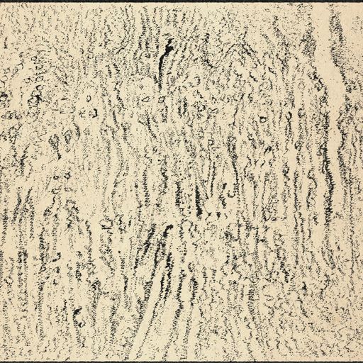 Estuary Magic #24 - The Michaux Visioning Party - 5th August 2023
