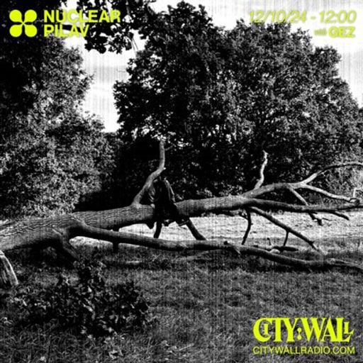 Nuclear Pilav w/ Gez - October 2024