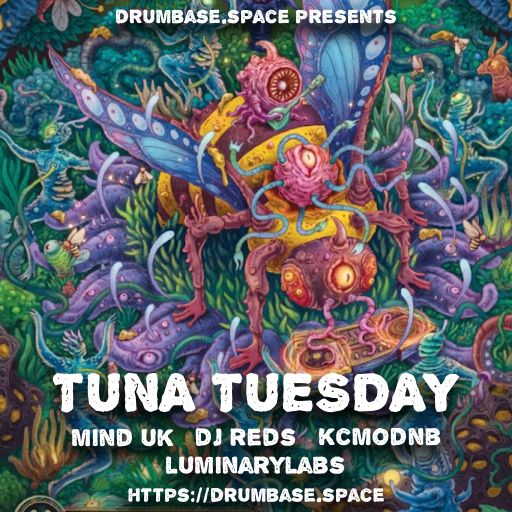 Mind (UK) - Drumbase.space - LIVE Tuna Tuesday - Melodrama
