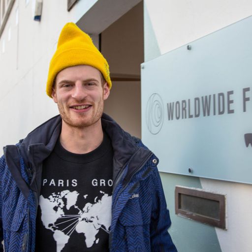 Photay: Best of 2017 // 27-12-17