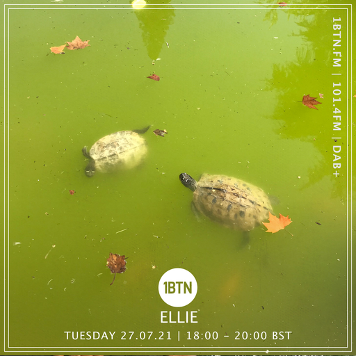 Ellie - 27.07.2021