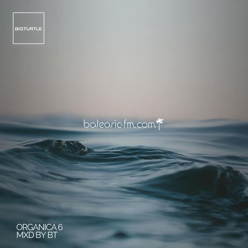 Organic Mix (006) (BigT)