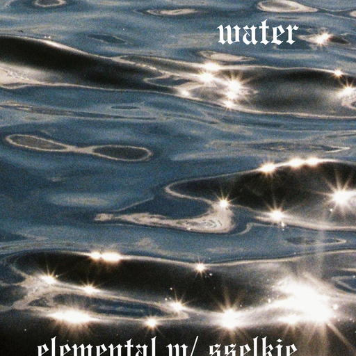 Cashmere Guest Mixes ELEMENTAL w/sselkie 01.04.2026