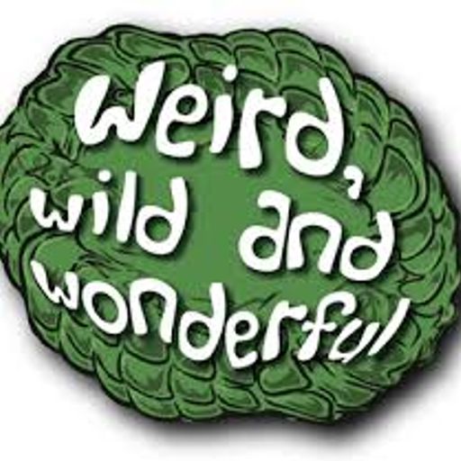 The Lost Art with The Progmeister  16th Oct 2016: Wild, Weird and Wonderful !!