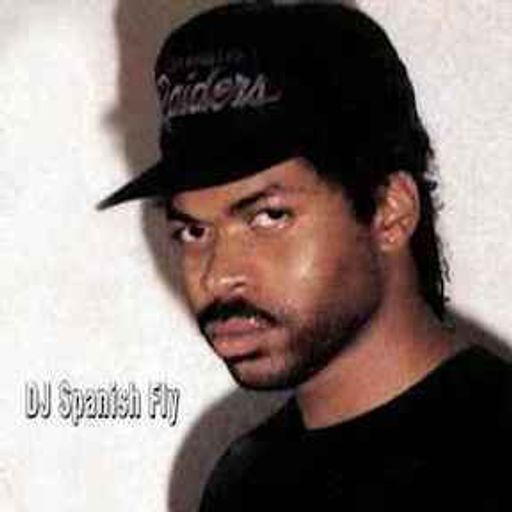 DJ Spanish Fly - Vol 31 (1993)