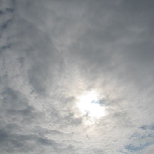 Ellie Morgan-Clegg - 09/08/25 - [Voices Radio]