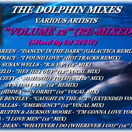 THE DOLPHIN MIXES - VARIOUS ARTISTS - ''VOLUME 12'' (RE-MIXED)