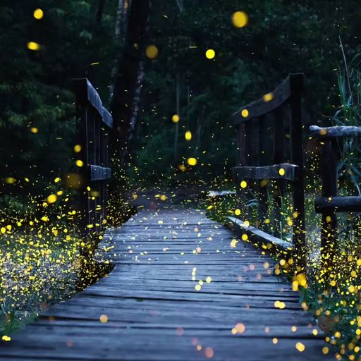 My LateNight Tales part 5