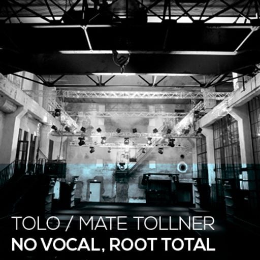 Tolo / Mate Tollner - No Vocal, Root Total