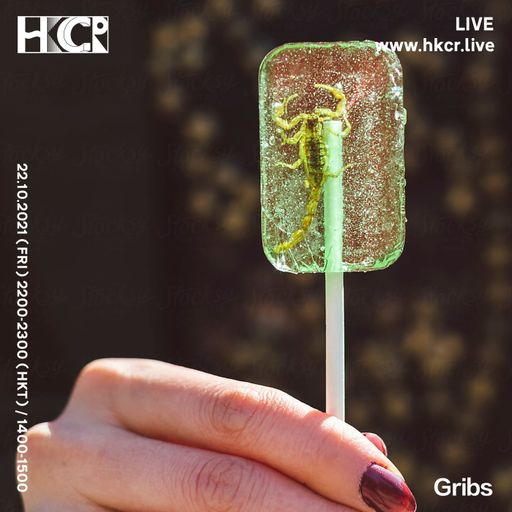 Gribs - 22/10/2021