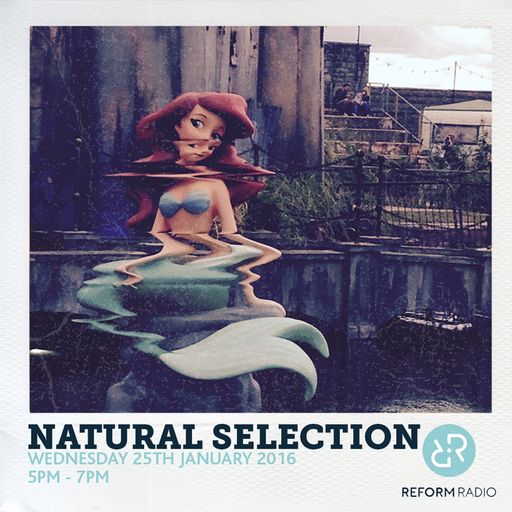 Natural Selection 25th January 2017