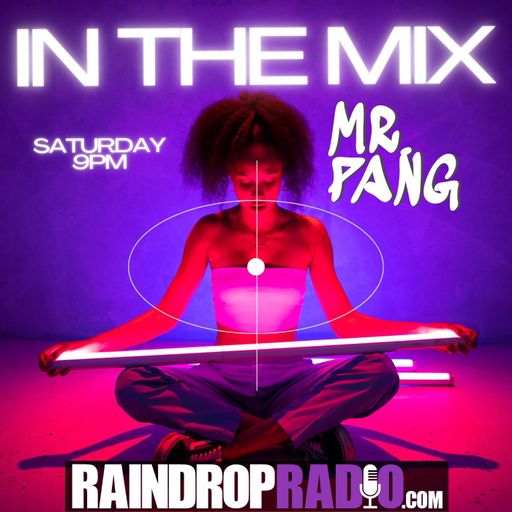 Mr Pang - 2024.07.13 - In The Mix