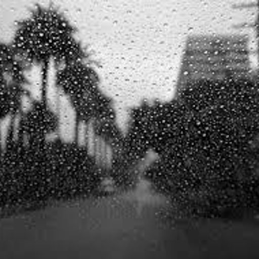 Collecting Rain in California (AmbientNeoClassicalProgressive&ArtRock)