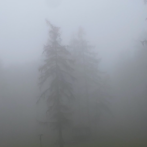 Eastern Daze # 52 with Warm Winters Ltd. 27.03.2023