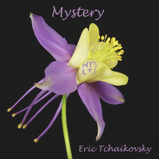 Mystery