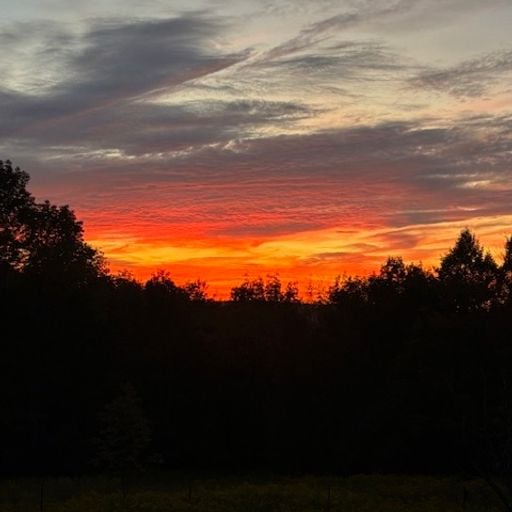 Gabrielle Kwarteng - 26th March 2026